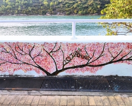 【 東 涌 行 走 間 的 牆 上 驚 喜 】🏞️八號風球前夕，東涌卻難得天朗氣清。「東涌有畫講」社區導賞團如常舉行，帶領參加者細看東涌壁畫背後的故事。我們沿着海堤石壆走去，牆上的壁畫十年間 (2)