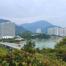 【尋「植」東涌：探索城市與自然的交融🌿 】..從一個寧靜的漁村到成為大嶼山的重要交通與商業樞紐，東涌的轉變既深刻又充滿爭議。「尋『植』東涌」社區導賞團再次出發，以生態與城市發展為主題，帶領參 (2)